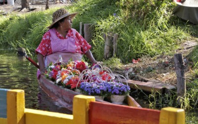 Destino: Xochimilco, México.