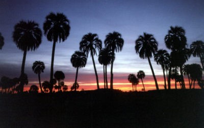 Senderos del Monte: Entre Ríos – Gualeguaychú