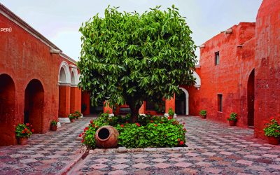 Viajes: Monasterio de Santa Catalina, Perú